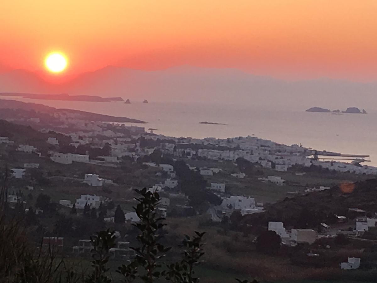 Paros Villas Nereids Páros Exterior foto